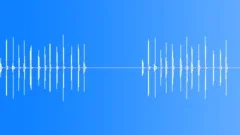 InsectVoiceChirp BU01.381Sound Effect
