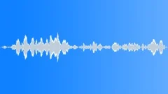 InsectVoiceChirp BU01.386Sound Effect