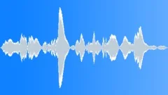 InsectVoiceChirp BU01.389Sound Effect