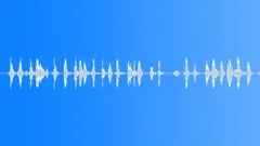 InsectVoiceChirp BU01.392Sound Effect