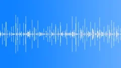 InsectVoiceChirp BU01.393Sound Effect