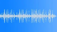 InsectVoiceChirp BU01.396Sound Effect