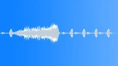 InsectVoiceChirp BU01.402 Sound Effect