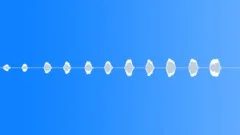 InsectVoiceChirp BU01.403 Sound Effect