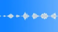 InsectVoiceChirp BU01.404Sound Effect