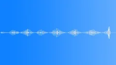 InsectVoiceChirp BU01.409 Sound Effect