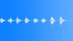 InsectVoiceChirp BU01.411 Sound Effect