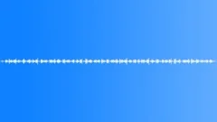 InsectWingsMove BU01.494 Sound Effect