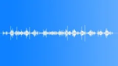 InsectWingsMove BU01.497Sound Effect