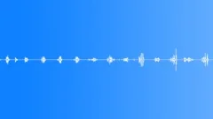InsectWingsMove BU01.498Sound Effect