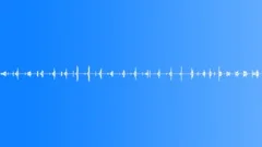 InsectWingsMove BU01.499Sound Effect