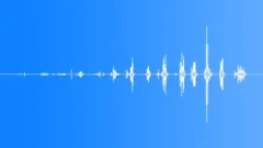 InsectWingsMove BU01.504 Sound Effect