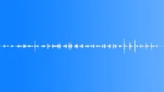 InsectWingsMove BU01.505 Sound Effect
