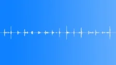 InsectWingsMove BU01.506 Sound Effect