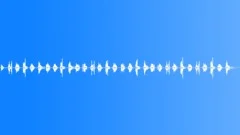 InsectWingsMove BU01.507 Sound Effect