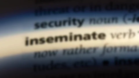 Inseminate word in a dictionary. Stock Footage 99561354