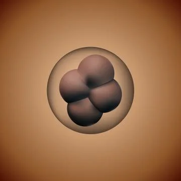 Insemination of the egg. Stock Illustration