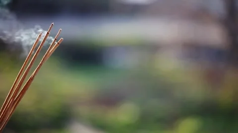 Insens-1 Stock-Footage 4884219