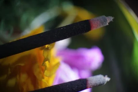 Insense Fotos de archivo