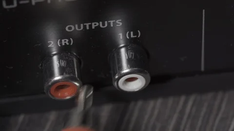 Insert Cable Stereo Left And Right Channels Tulip Into Port Stock Footage 121455887