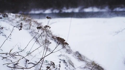 Insert to clip about nature in winter Stock Footage 120297343