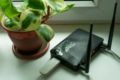Insert a mobile usb modem into the Internet router on the window sill by the Stock Photos