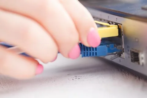 Insert network cable connection to switch Stock Photos