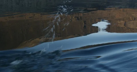 Insert of peddles with mountain reflection Stock Footage 90404925