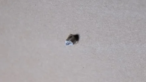 Inserting anchors through a drywall. Stock Footage 340449414