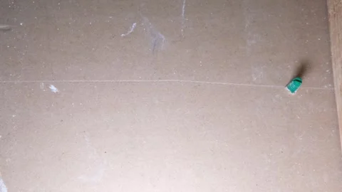 Inserting anchors through a drywall. Stock Footage 340449418