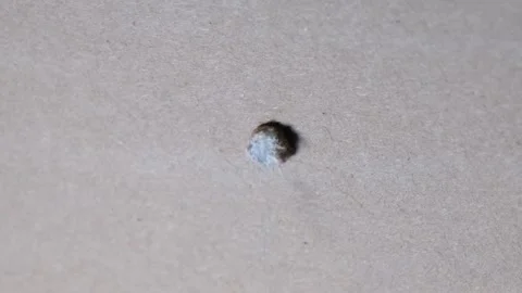 Inserting anchors through a drywall. Stock Footage 340449430