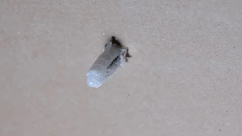 Inserting anchors through a drywall. Stock Footage 340449446