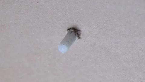 Inserting anchors through a drywall. Stock Footage 340449456