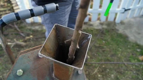 Inserting a branch into a chipper for chopping, close-up Stock Footage 310251083