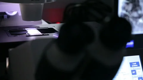 Inserting sample in modern microscope closeup sample Stock Footage 34314408