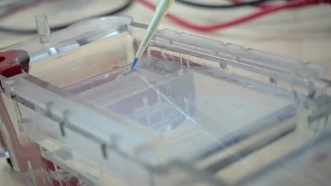 Insertion of DNA. Stock Footage 88234525