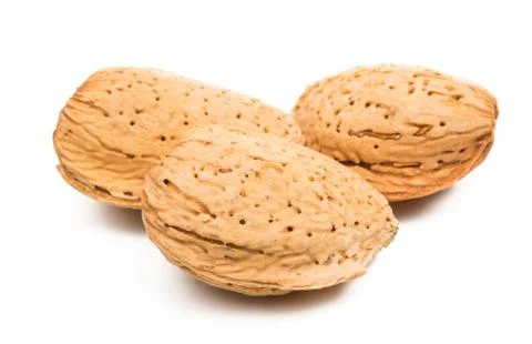 Inshell almond isolated Stock Photos