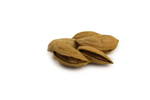 Inshell almonds Stock Photos