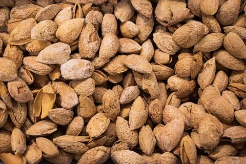 Inshell almonds. A source of protein for healthy eating Stock Photos
