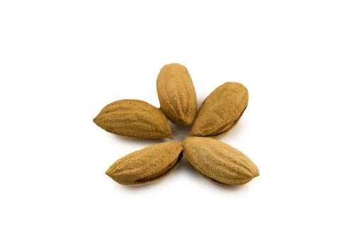 Inshell almonds on white background Stock Photos