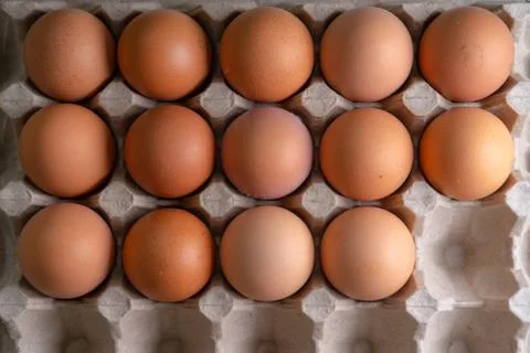 Inshell chicken eggs for cooking Stock Photos