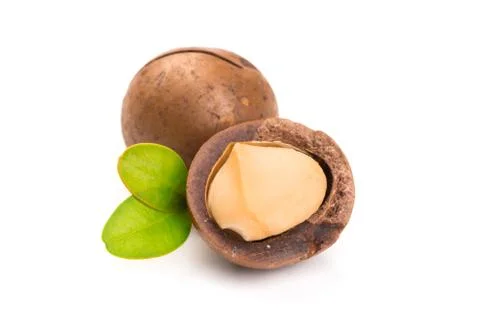 Inshell macadamia nuts with leaves isolated on white background. Stock Photos