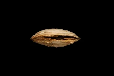 Inshell mountain almonds on black background. Food concept. Foto stock