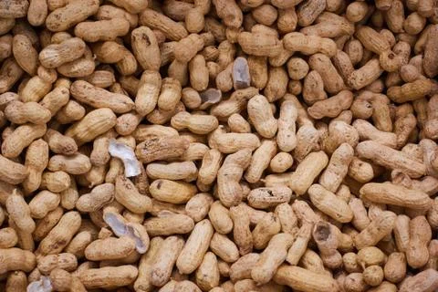 Inshell peanuts on the counter of the store Stock Photos