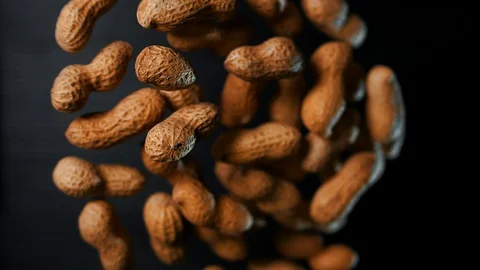 Inshell Peanuts Levitate in Slow Motion. Macro Stock Footage 109154018