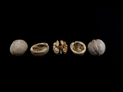 Inshell walnuts on a black background. Hard ripe nuts. Stock Photos