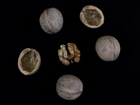 Inshell walnuts on a black background. Hard ripe nuts. Stock Photos