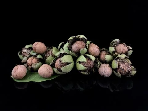 Inshell walnuts on a black background. Ripe walnut in a hard shell. Stock Photos