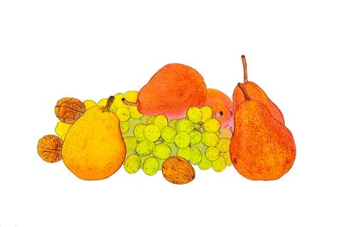 Inshell walnuts with fragrant yellow red ripe pears bunch of grapes on white Stock Illustration