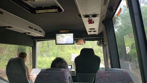 Inside a 4WD Bus through the Forest, K'gari (Fraser Island), Australia 8K Video stock 299096020